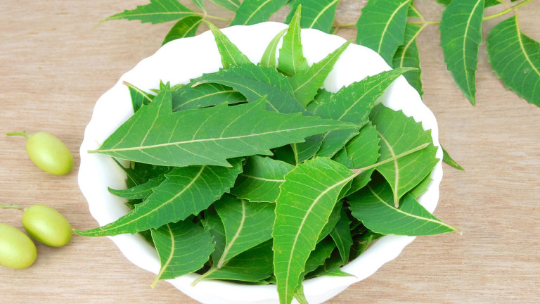 How Neem Helps In Reducing Cancer Risk?